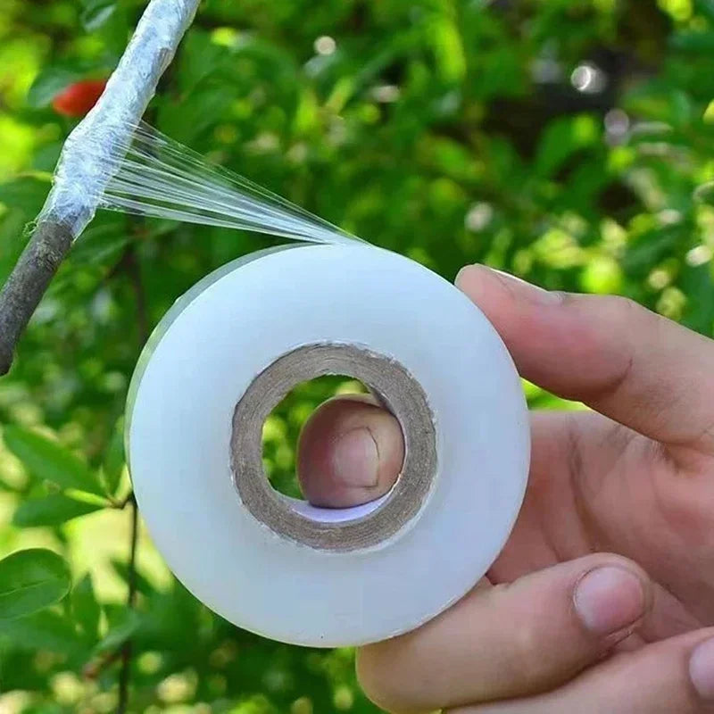 Stretch Grafting Tape, 4 cm × 4 m Roll, 1 or 3 Pack