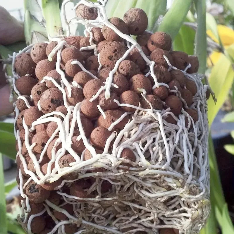 Garden Hydroponic Expanded Clay Pebbles – Organic Ceramic Oval Pellets for Pots, Planters,Orchids, Succulents, Bottom Drainage