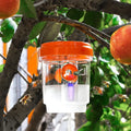 Clear Plastic Outdoor Insect Trap with Lid - Effective for Catching Fruit Flies, Wasps, Transparent Design for Easy Monitoring