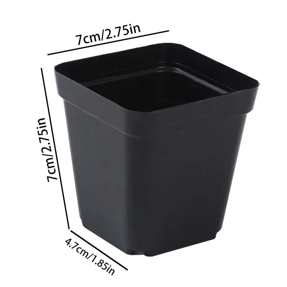 Square Plastic Seedling Pots with Drainage Holes, 50 Pack