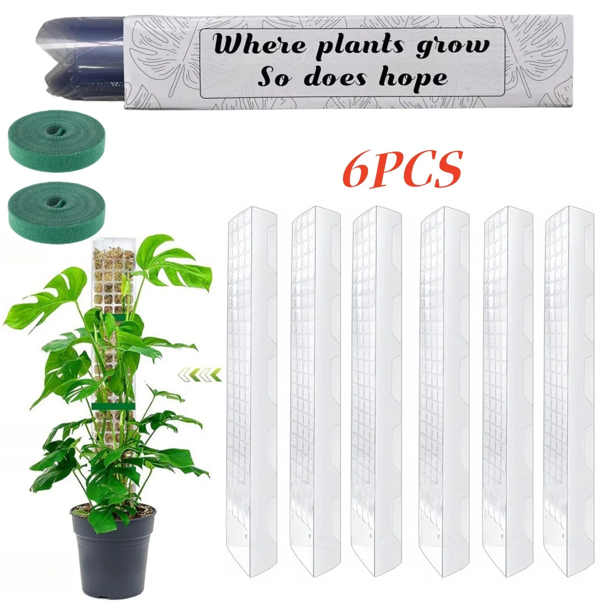 Clear Plastic Moss Pole for Climbing Plants, 38 or 60 cm