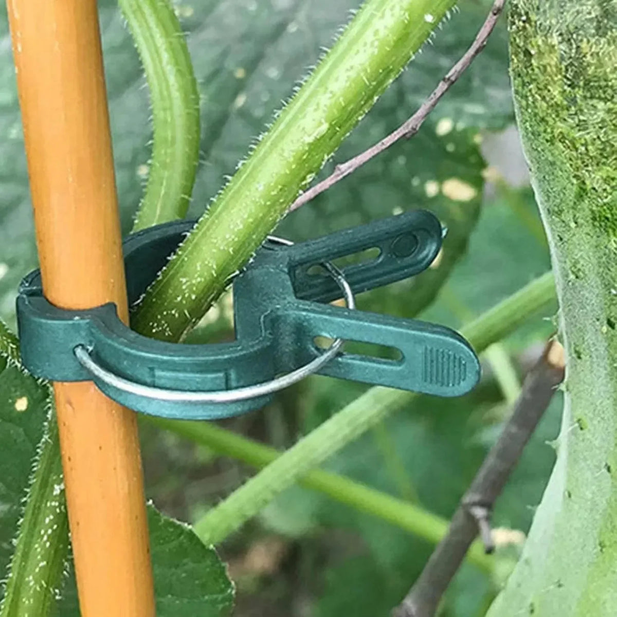 10/100pcs Plant Fixed Clips Reusable Garden Greenhouse Bracket Garden Plants Vine Climbing Clamp Flower Tomato Support Fastener