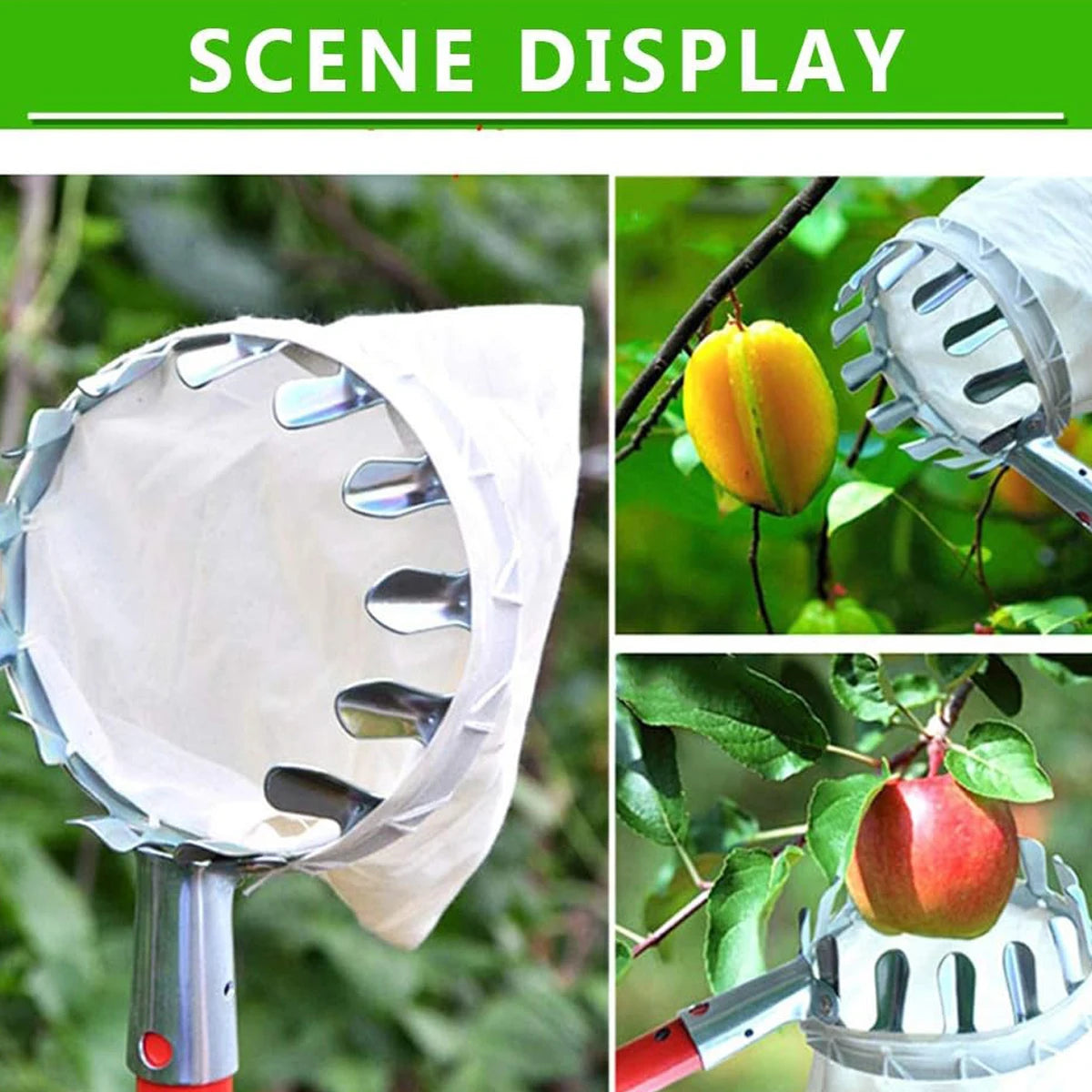 Fruit Picking Picker High Altitude Telescopic Collector Garden Supplies Catcher Trees Tools Tool Pick