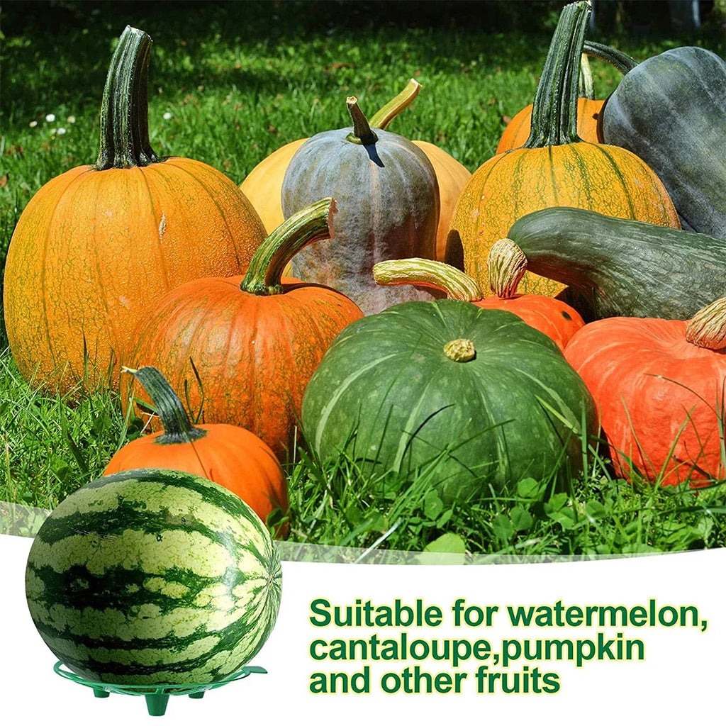 Melon and Pumpkin Cradles, 19.5 cm, 10 Pack