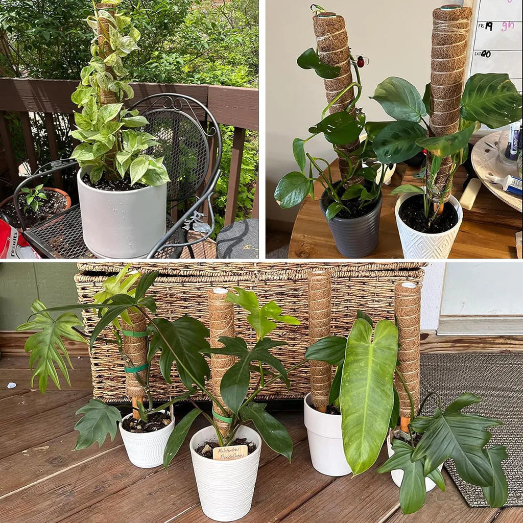 Gardening Coconut Stick Green Pot Fixed Plant Climbing Cane Flower Support Coconut Climbing Cane Moss Rod 1pc
