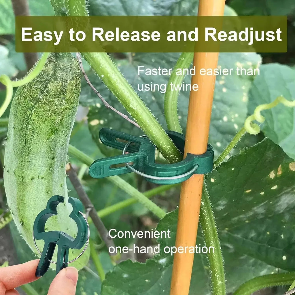 10/100pcs Plant Fixed Clips Reusable Garden Greenhouse Bracket Garden Plants Vine Climbing Clamp Flower Tomato Support Fastener