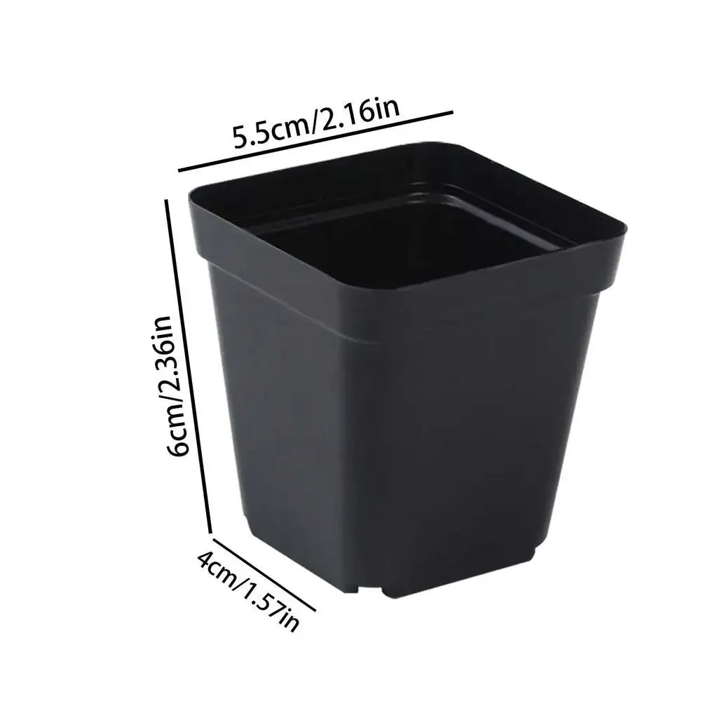 Square Plastic Seedling Pots with Drainage Holes, 50 Pack