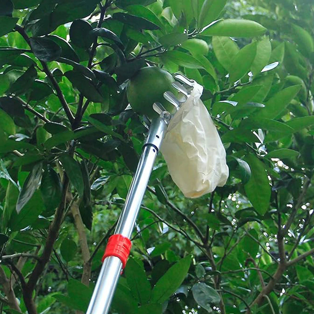 Fruit Picking Picker High Altitude Telescopic Collector Garden Supplies Catcher Trees Tools Tool Pick