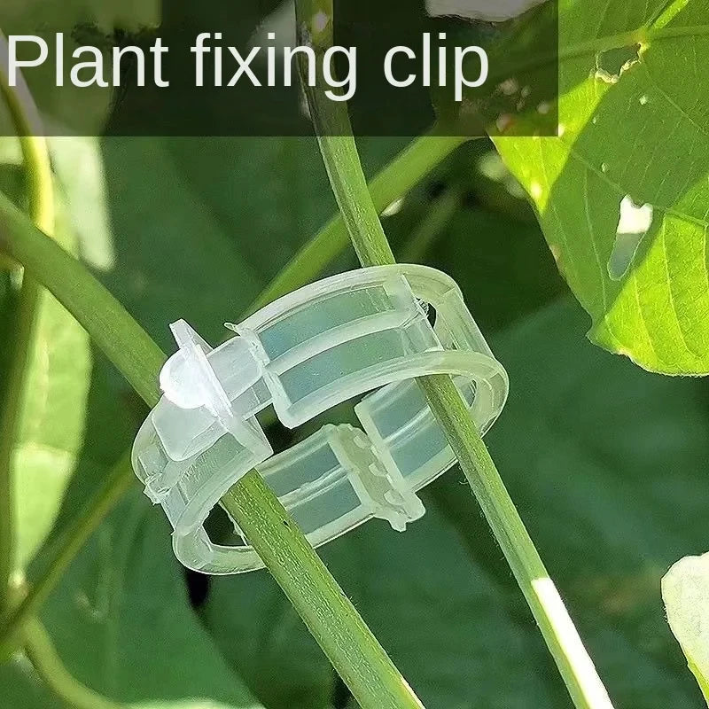 Plant Support Clips Reusable Plastic Plant Vine Protection Grafting Fixing Tools for Vegetable Tomato Garden Supplies