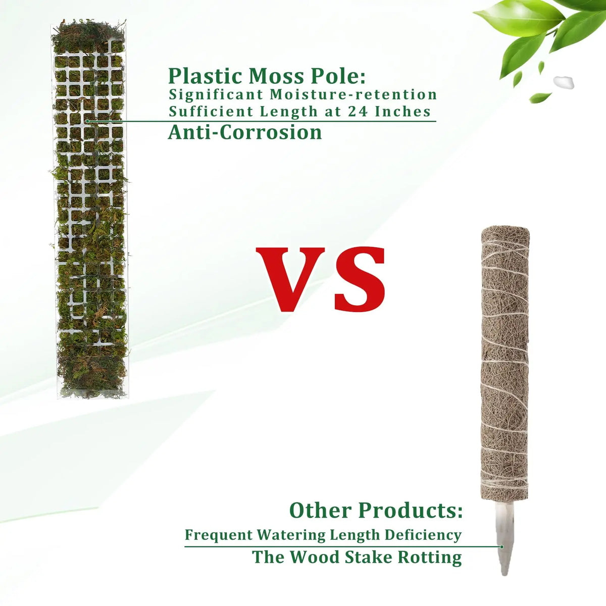 Clear Plastic Moss Pole for Climbing Plants, 38 or 60 cm