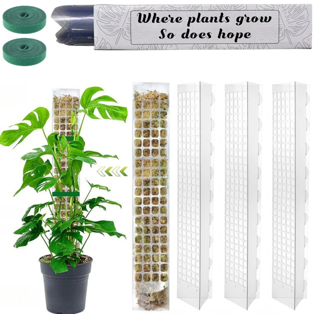 Clear Plastic Moss Pole for Climbing Plants, 38 or 60 cm