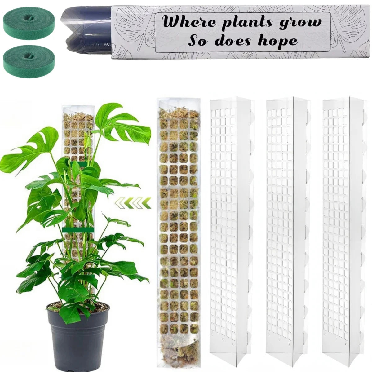 Clear Plastic Moss Pole for Climbing Plants, 38 or 60 cm