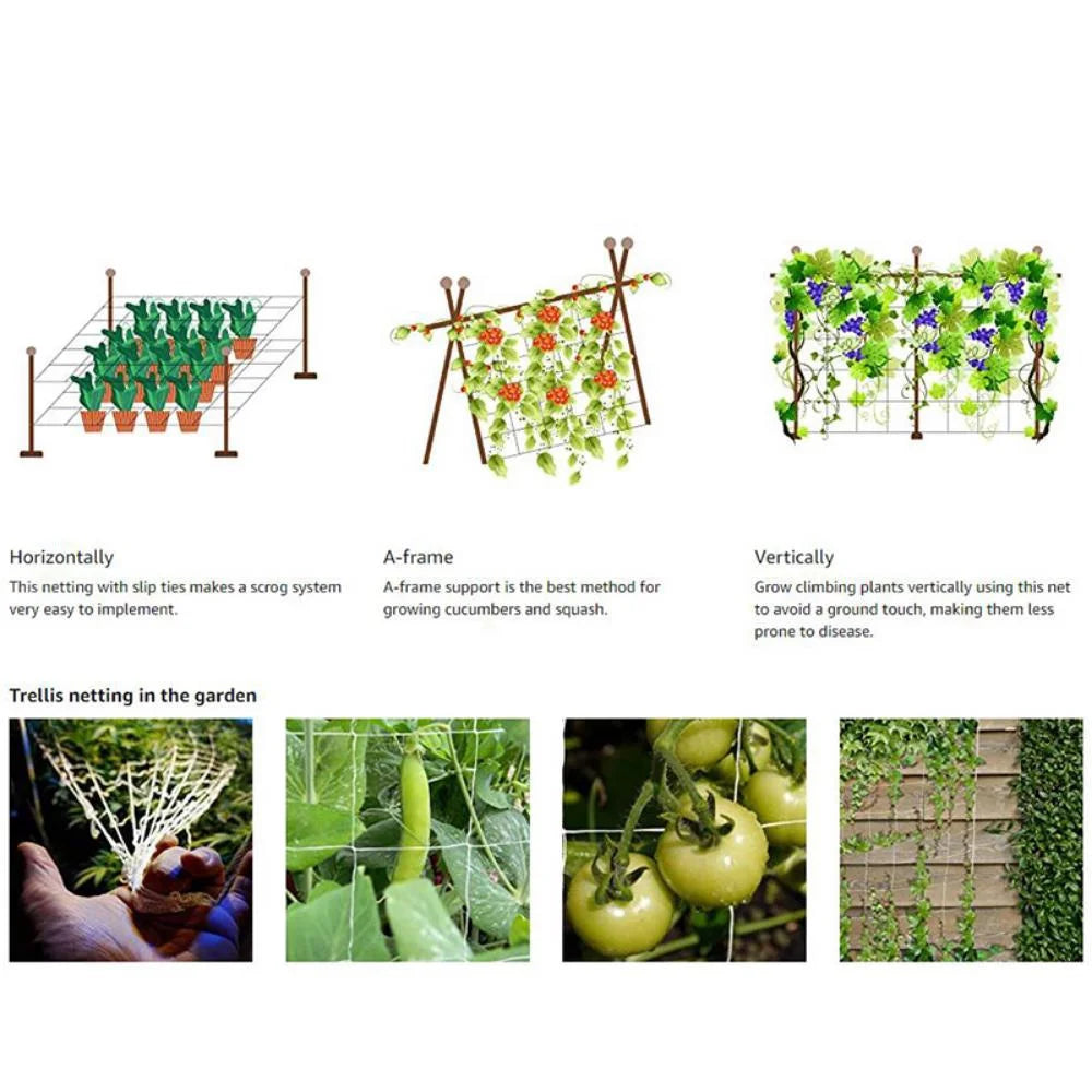White Polyester Trellis Netting for Climbing Vegetables, 4 × 8 ft to 10 × 30 ft