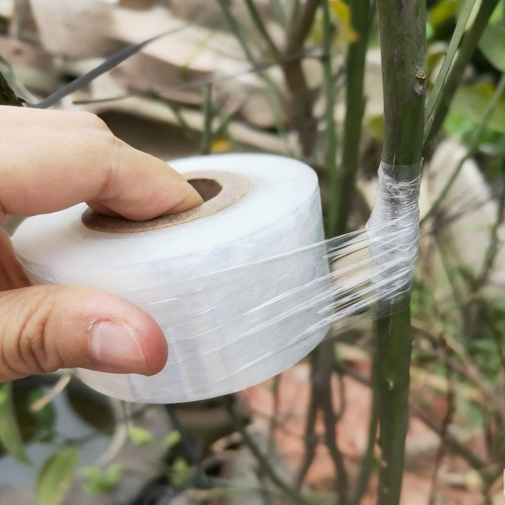 Clear PE Grafting Tape, 200 m Roll, 2, 3 or 5 cm Wide