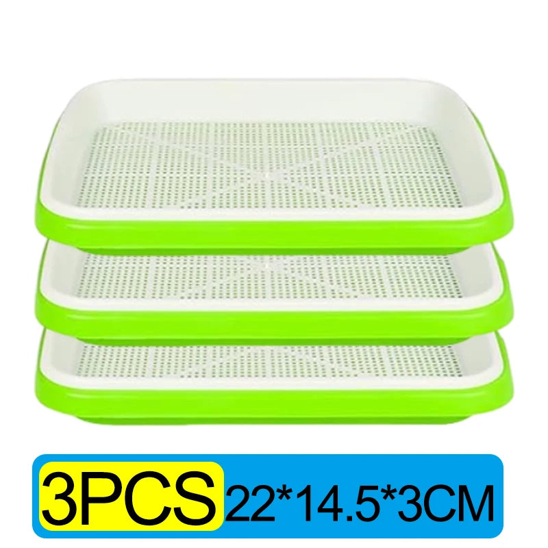 Double-Layer Seed Sprouting Tray, 22 × 14.5 cm, 1–3 Pack