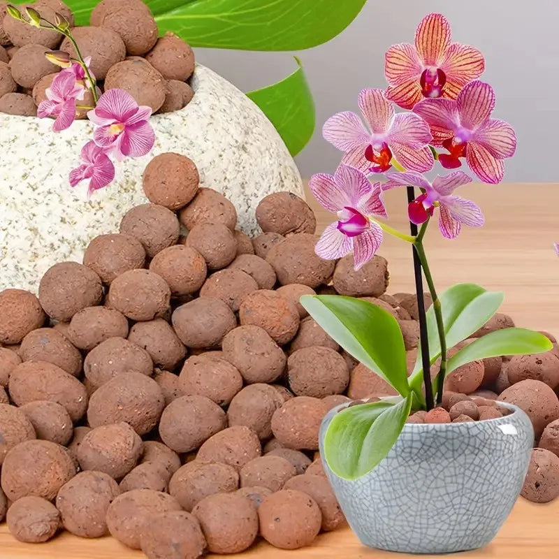 Garden Hydroponic Expanded Clay Pebbles – Organic Ceramic Oval Pellets for Pots, Planters,Orchids, Succulents, Bottom Drainage