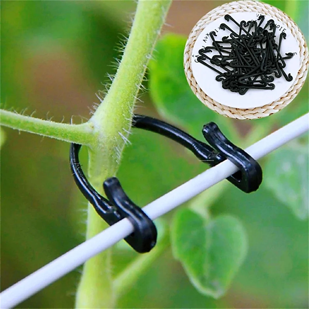 Plant Vine Fasteners for Stakes and Wire, 6 cm, 50 or 100 Pack