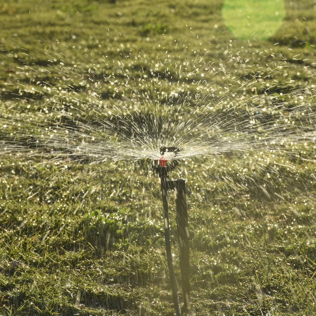 KESLA 5pc 360° Rotating Micro Watering Irrigation Sprinkler Sprayer on 20cm Stake 1/4" Barb Connector Lawn Farm Greenhouse Plant