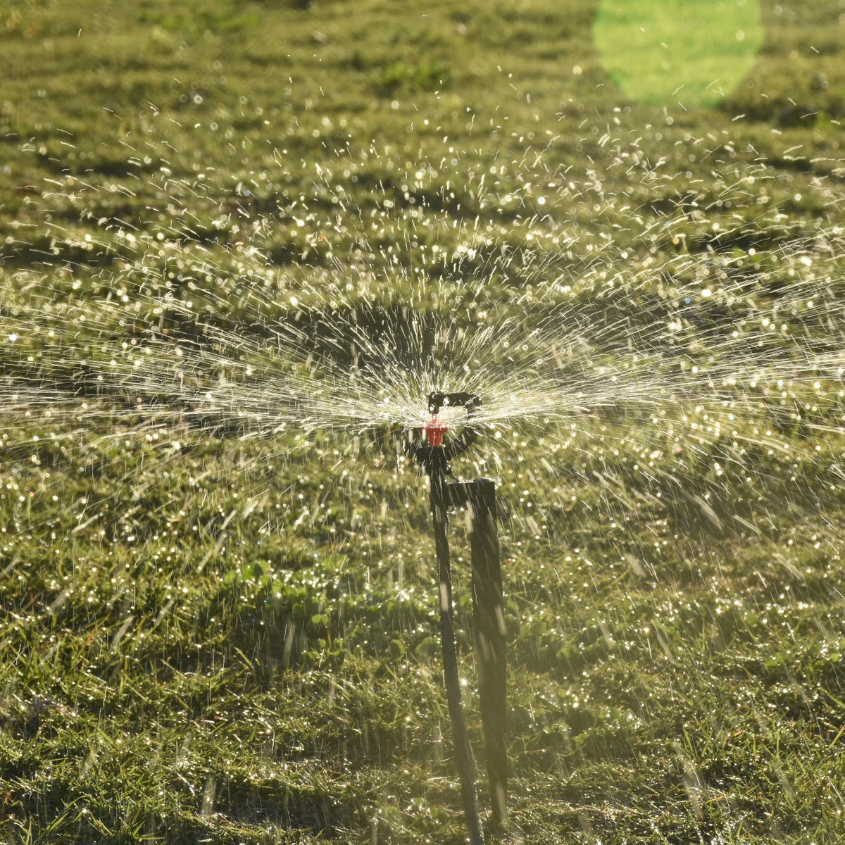KESLA 5pc 360° Rotating Micro Watering Irrigation Sprinkler Sprayer on 20cm Stake 1/4" Barb Connector Lawn Farm Greenhouse Plant