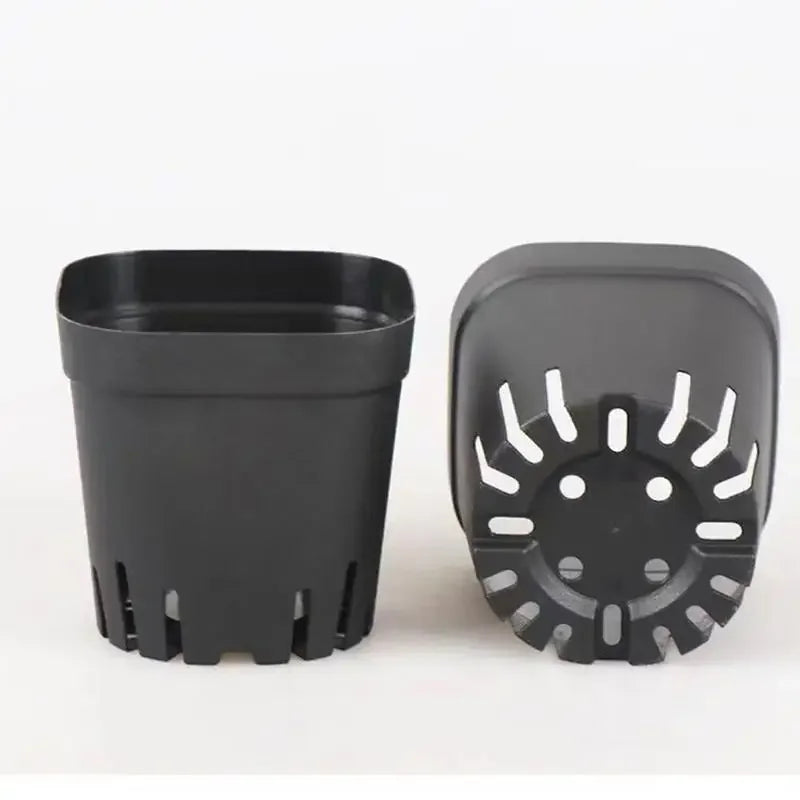 Square Plastic Seedling Pots with Drainage Holes, 50 Pack