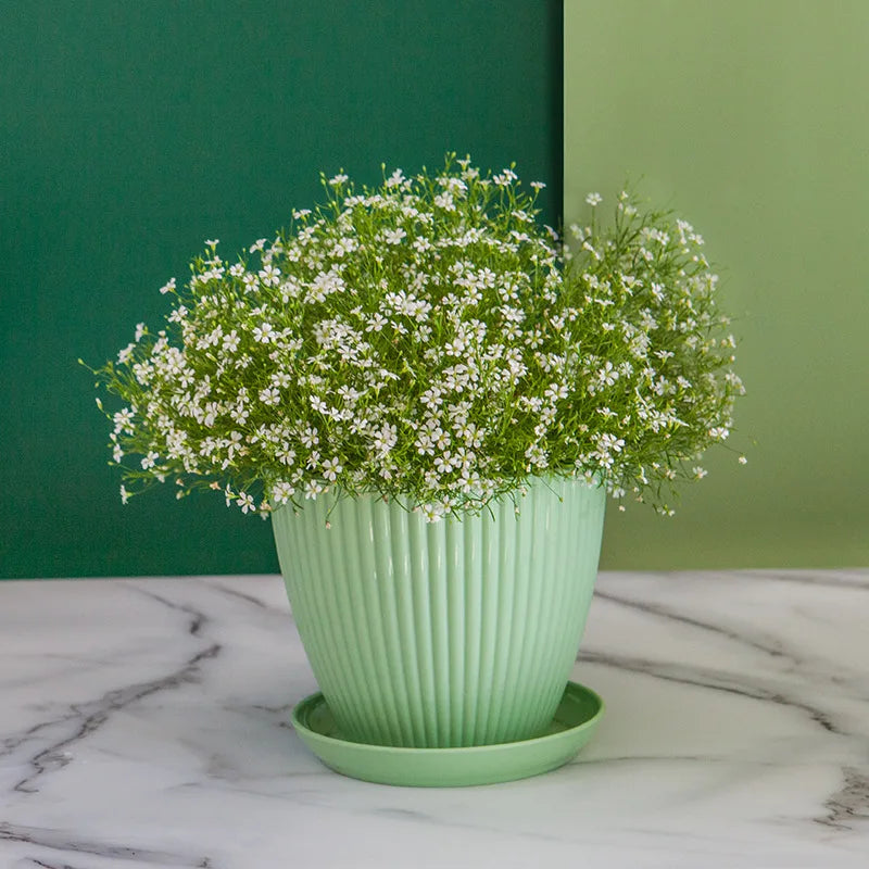 Round Plant Pot with Drainage Tray, 5 Sizes, 4 Colors