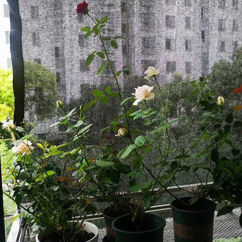30%~90% Shading Anti-UV Black HDPE Sunshade Net Greenhouse Garden Succulent Plants Cover Netting Swimming Pool Sun Shade Net