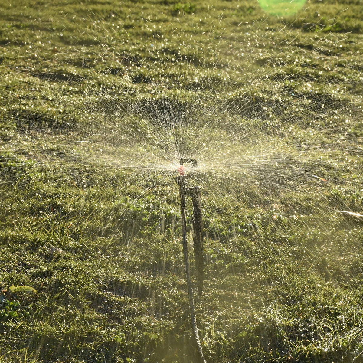 KESLA 5pc 360° Rotating Micro Watering Irrigation Sprinkler Sprayer on 20cm Stake 1/4" Barb Connector Lawn Farm Greenhouse Plant