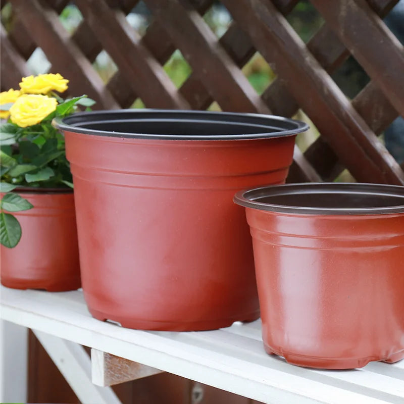 Plastic Nursery Pots with Drainage, 9, 10 or 12 cm, 20 or 50 Pack