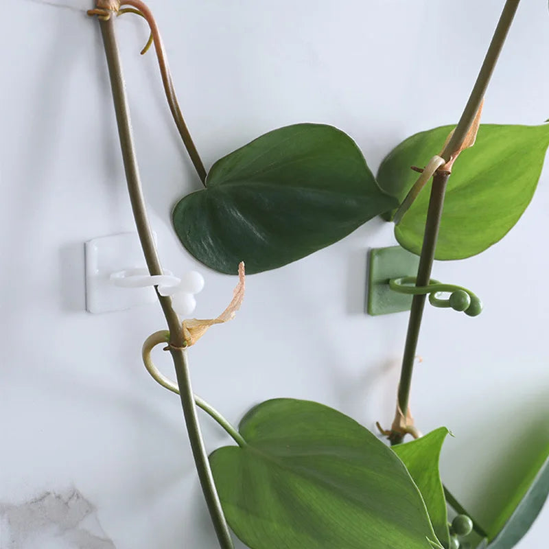 100pcs-Home Garden Plant Climbing Wall Fixture Clips Rattan Vine Fixer Self-Adhesive Plant Climbing Wall Fixed Buckle Hook