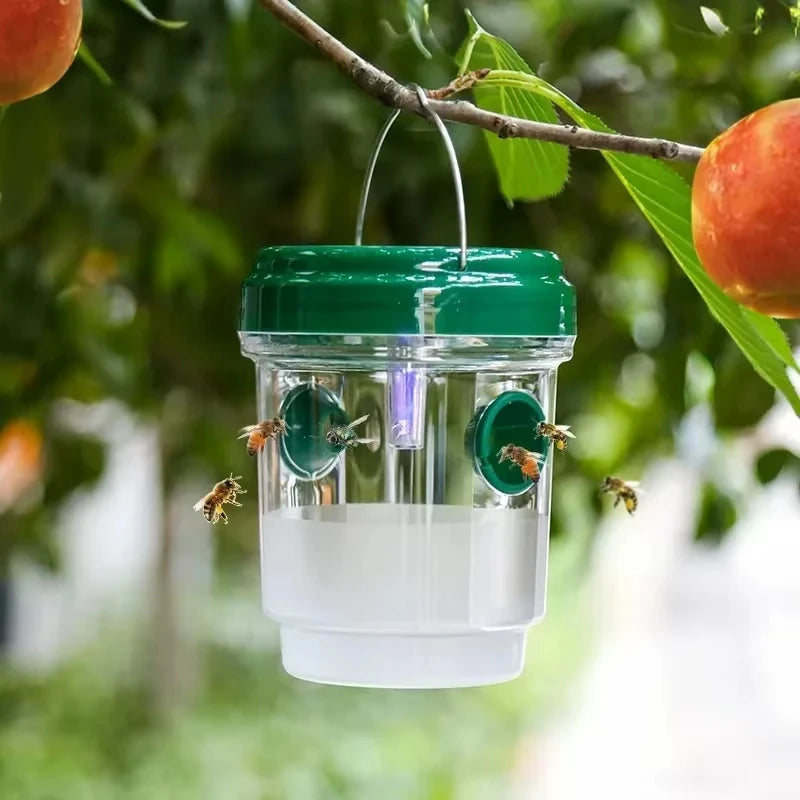 Hanging Wasp and Fly Trap, 9.3 × 11.8 cm, 1–3 Pack