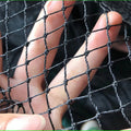 Black PE Bird Netting for Crops and Fruit Trees, 1.5–5 cm Mesh