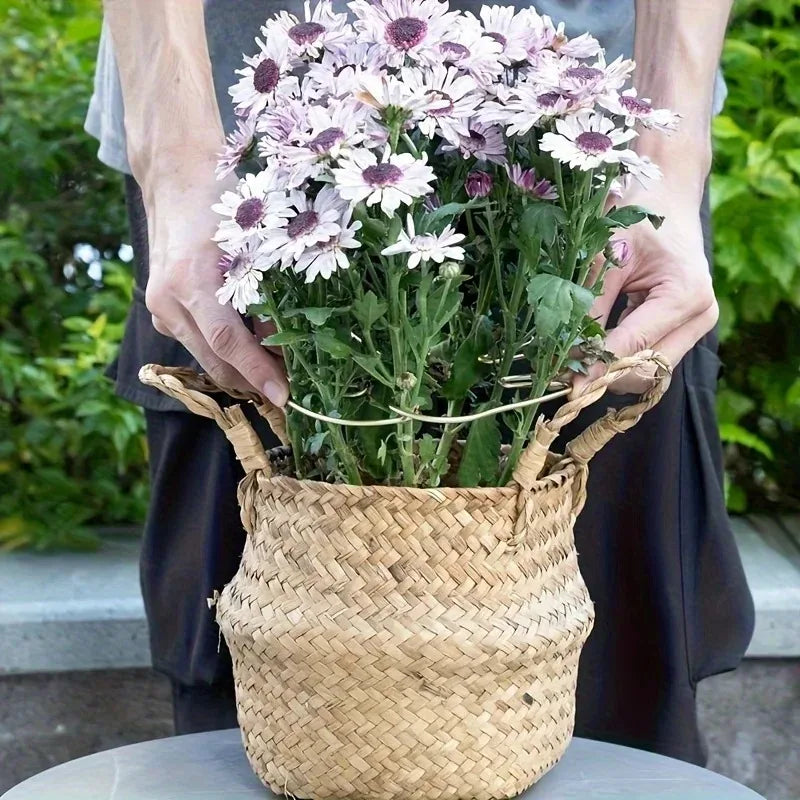 Plant Stabilizer Plant Holder For Supporting Monstera And Flowers Plant Support