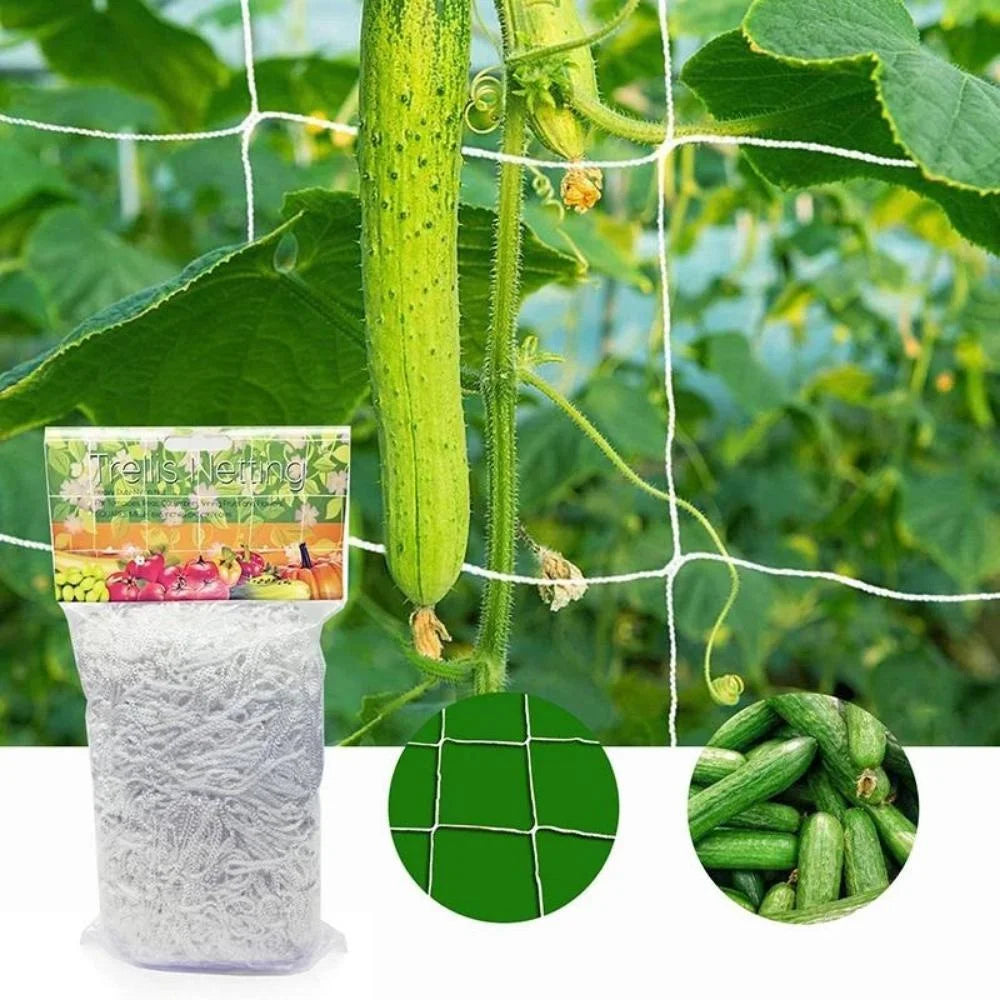 White Polyester Trellis Netting for Climbing Vegetables, 4 × 8 ft to 10 × 30 ft