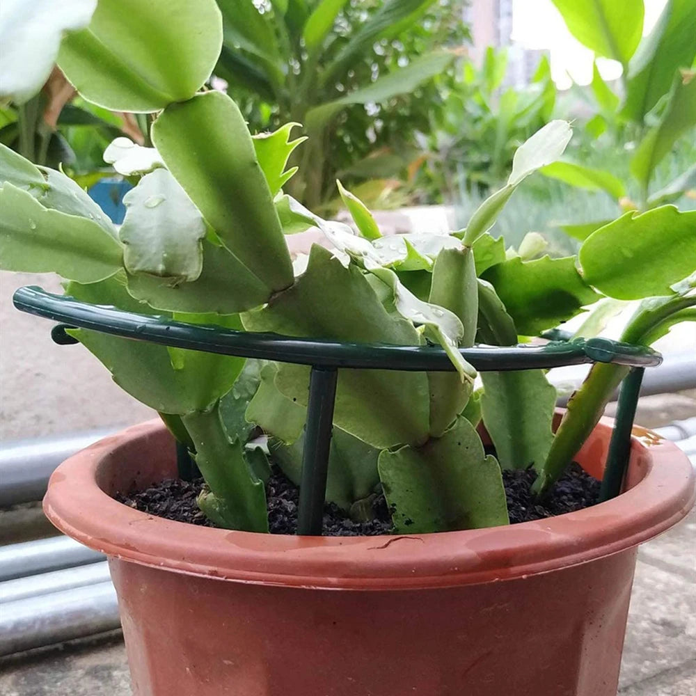 T-Shaped Plastic Plant Support Brackets, 16 or 27 cm