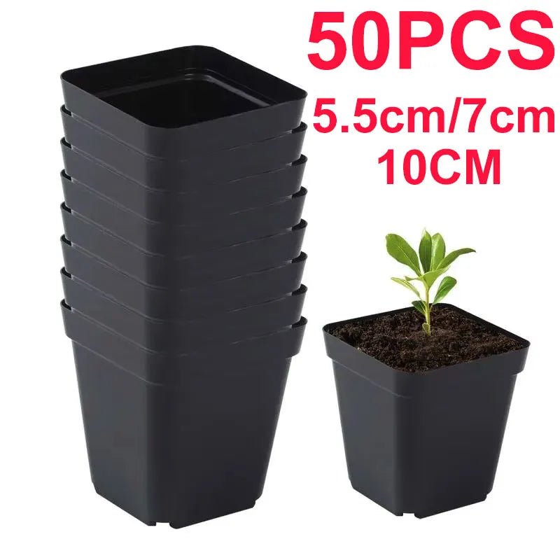 Square Plastic Seedling Pots with Drainage Holes, 50 Pack