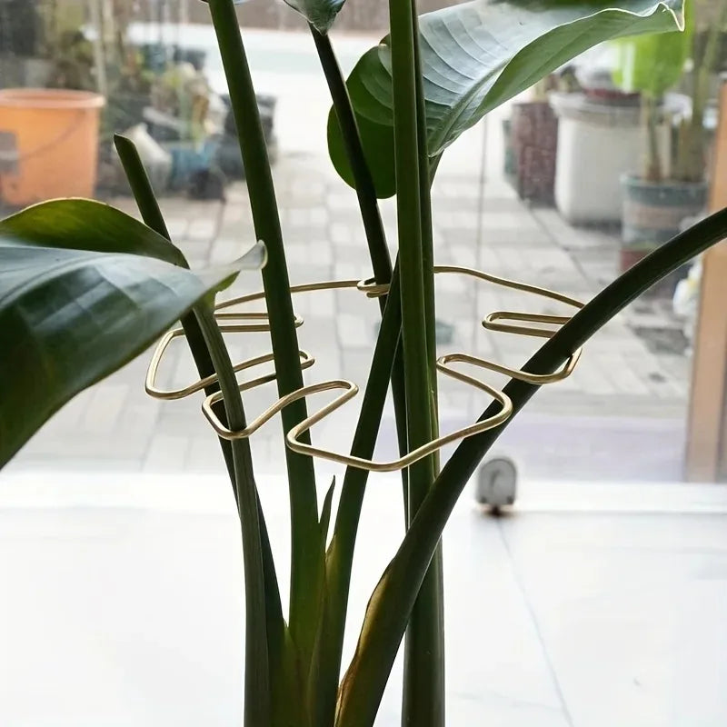Plant Stabilizer Plant Holder For Supporting Monstera And Flowers Plant Support