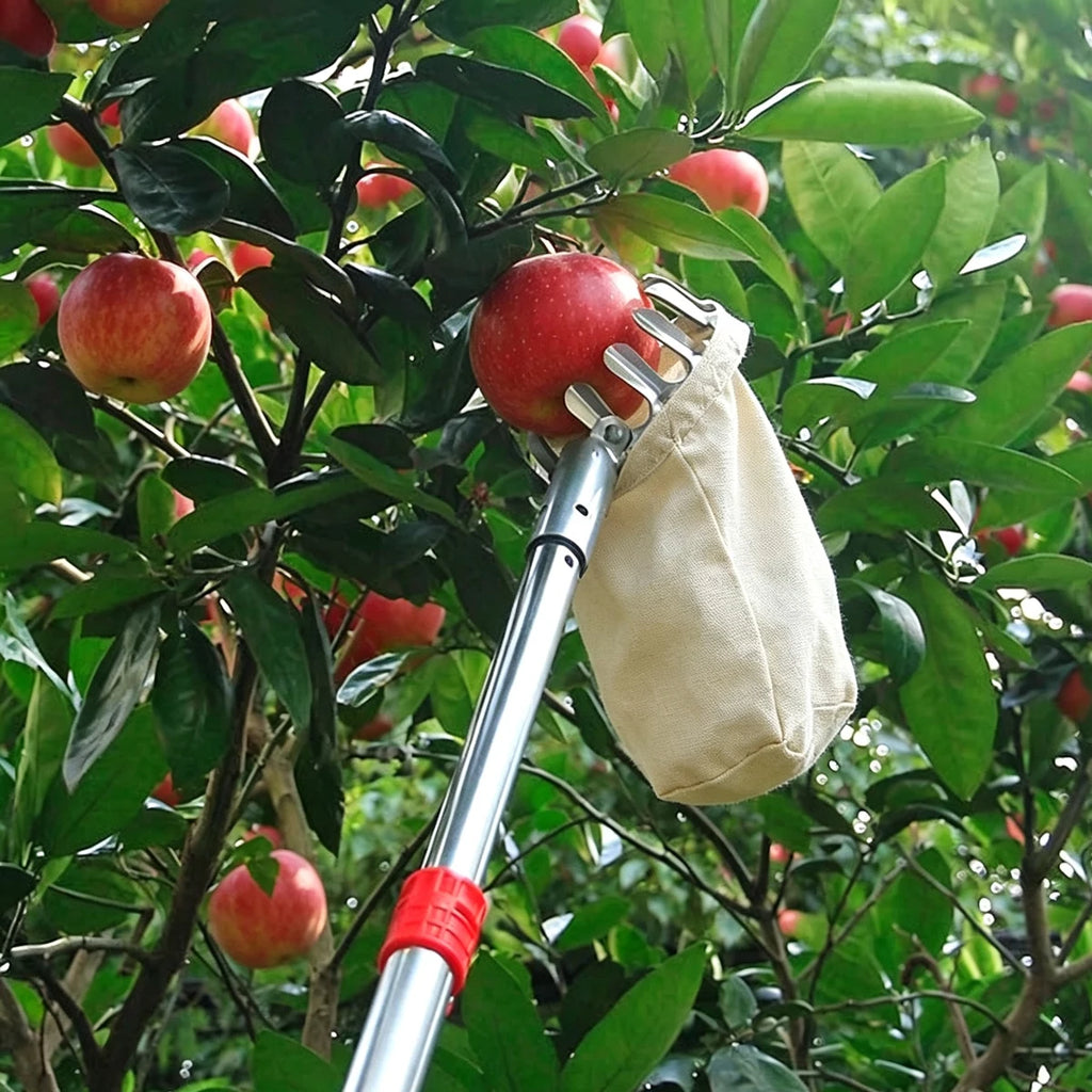 Fruit Picking Picker High Altitude Telescopic Collector Garden Supplies Catcher Trees Tools Tool Pick