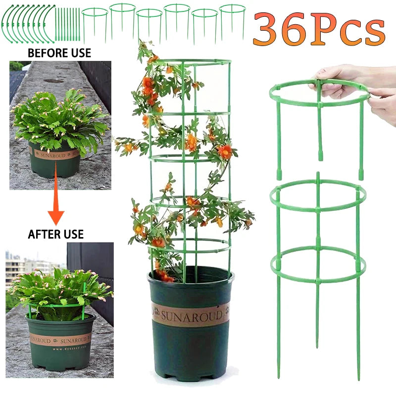 Plant Support Stakes Semicircle Trellis for Potted Plants Bonsai Vine Flower Support Fixed Rod Clips Gardening Tools 6-36Pcs