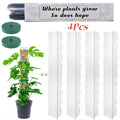 Clear Plastic Moss Pole for Climbing Plants, 38 or 60 cm