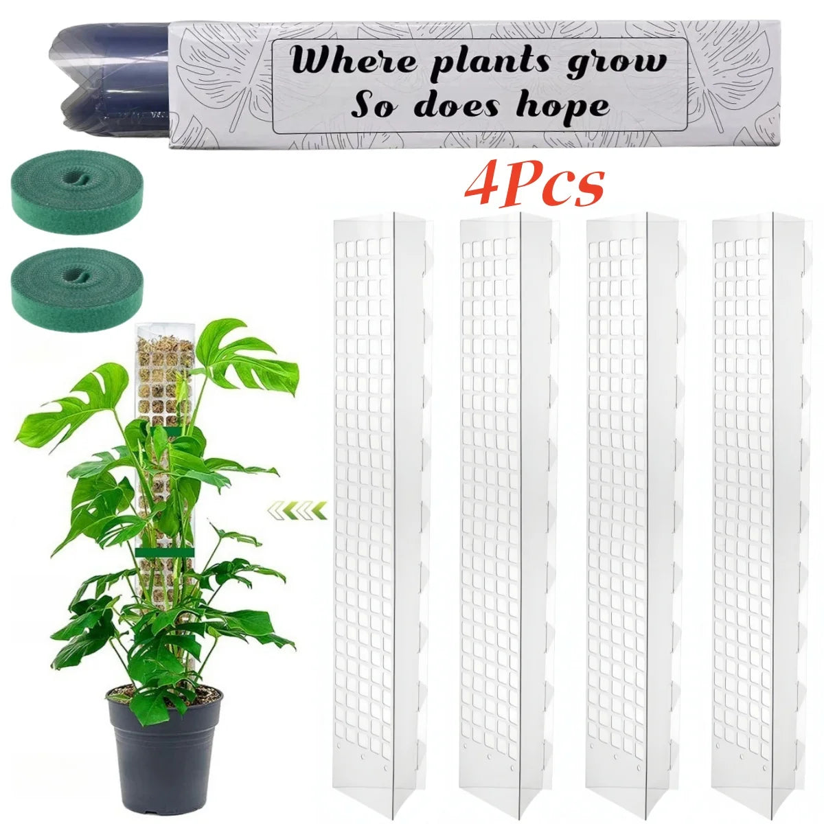 Clear Plastic Moss Pole for Climbing Plants, 38 or 60 cm