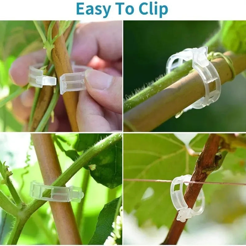 Plant Trellis Clips for Tomatoes and Vines, 2.5 cm, 10–300 Pack