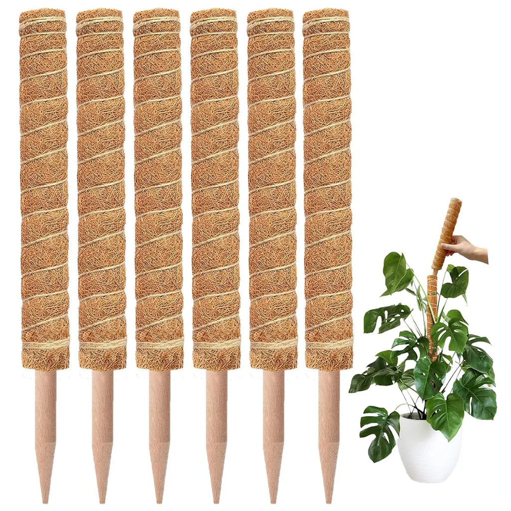 Gardening Coconut Stick Green Pot Fixed Plant Climbing Cane Flower Support Coconut Climbing Cane Moss Rod 1pc