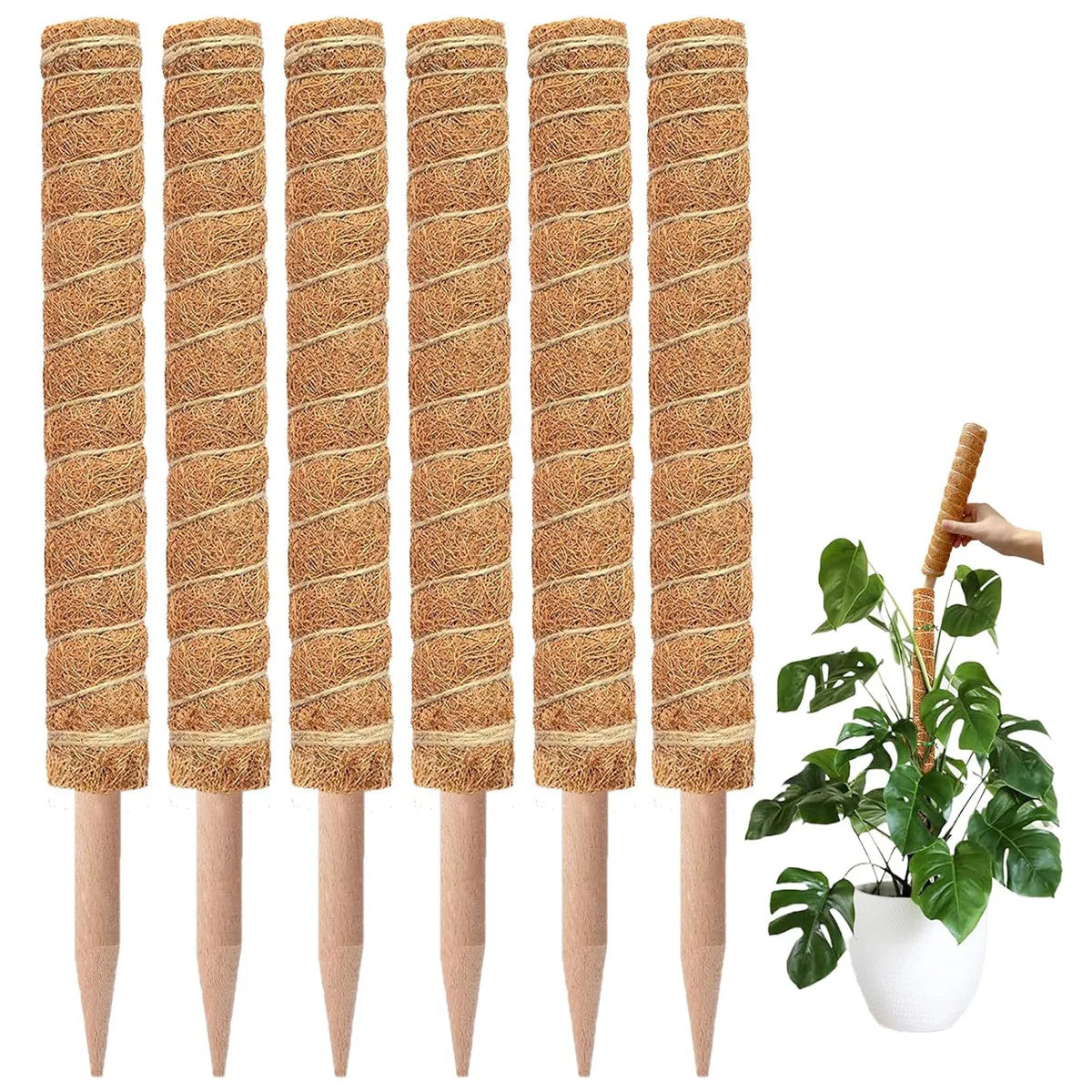 Gardening Coconut Stick Green Pot Fixed Plant Climbing Cane Flower Support Coconut Climbing Cane Moss Rod 1pc