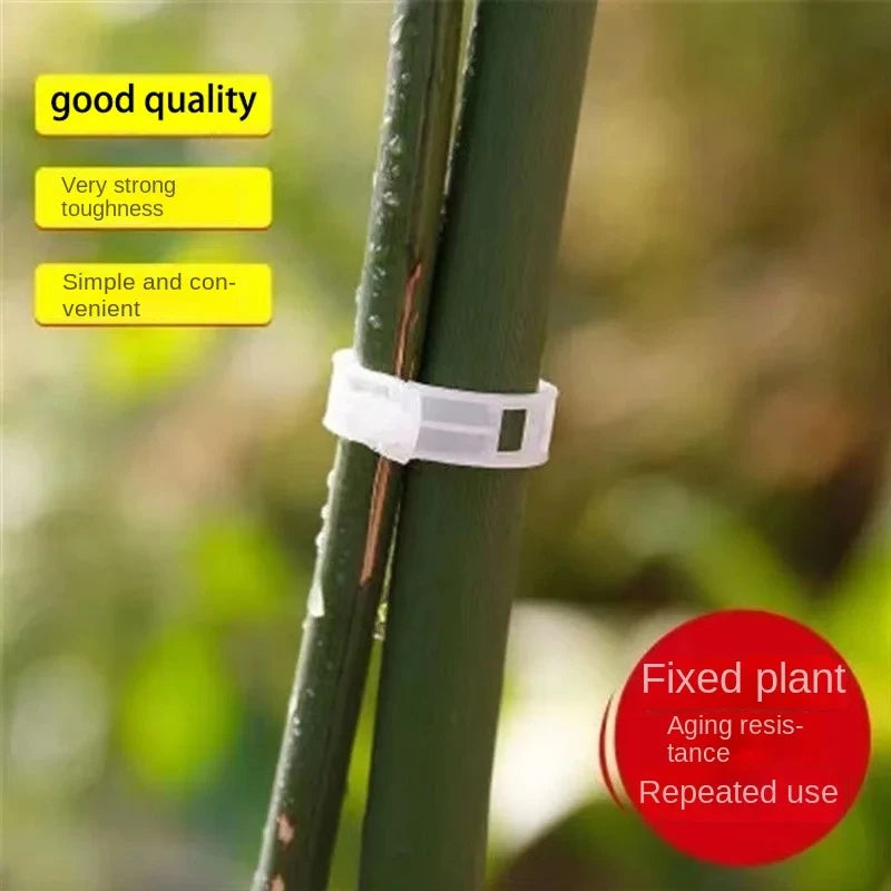 Plant Support Clips Reusable Plastic Plant Vine Protection Grafting Fixing Tools for Vegetable Tomato Garden Supplies
