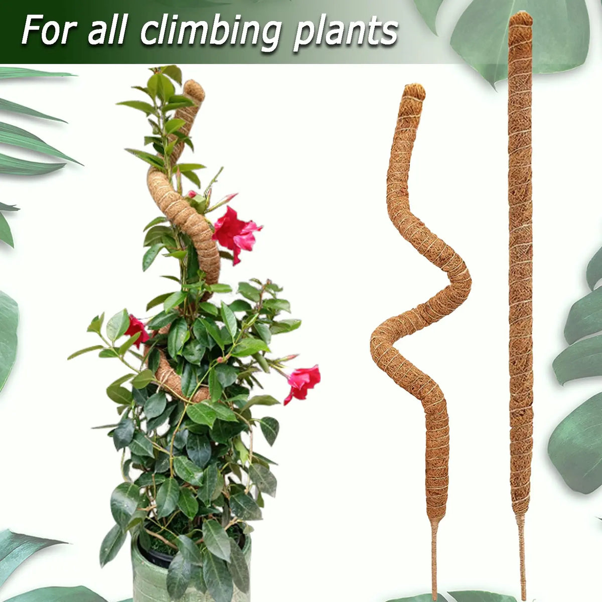 Gardening Coconut Stick Green Pot Fixed Plant Climbing Cane Flower Support Coconut Climbing Cane Moss Rod 1pc