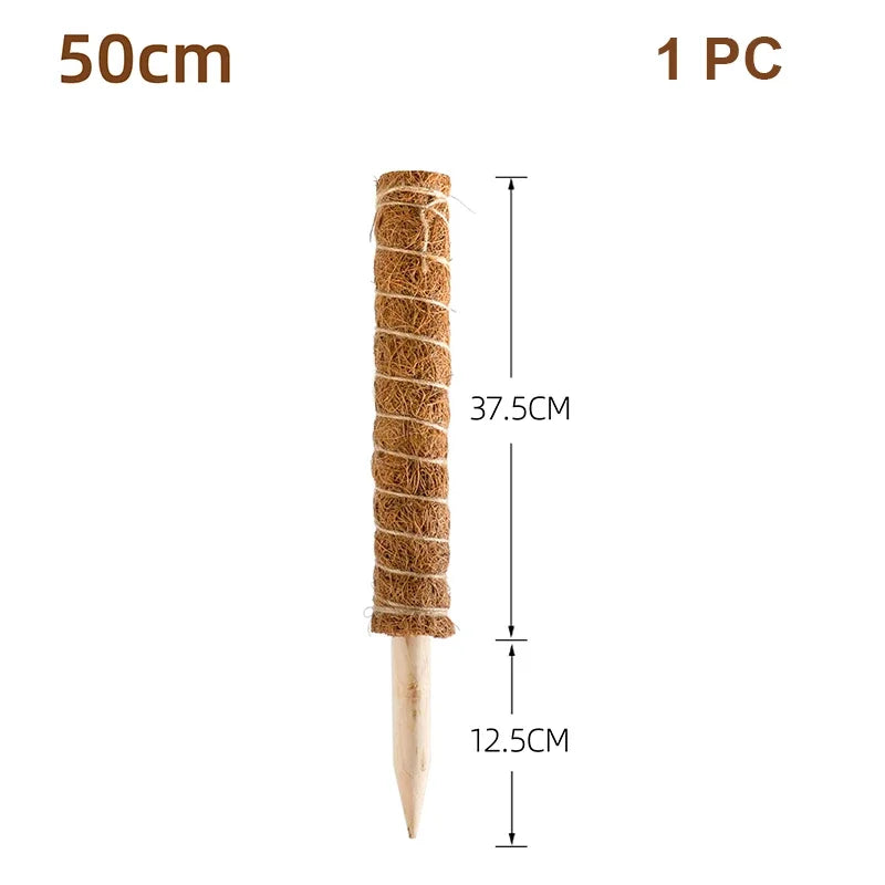 Gardening Coconut Stick Green Pot Fixed Plant Climbing Cane Flower Support Coconut Climbing Cane Moss Rod 1pc