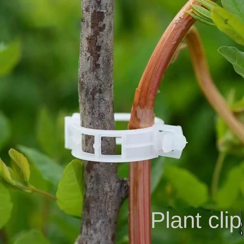 Plant Support Clips Reusable Plastic Plant Vine Protection Grafting Fixing Tools for Vegetable Tomato Garden Supplies