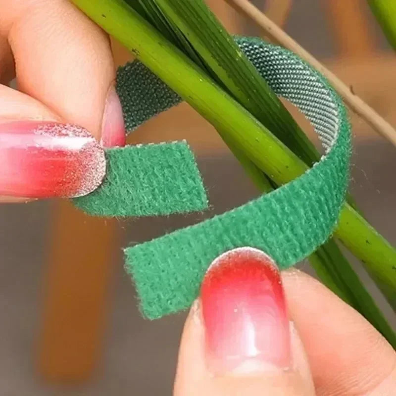 Hook-and-Loop Plant Ties, 5 m Rolls, 1–24 Pack