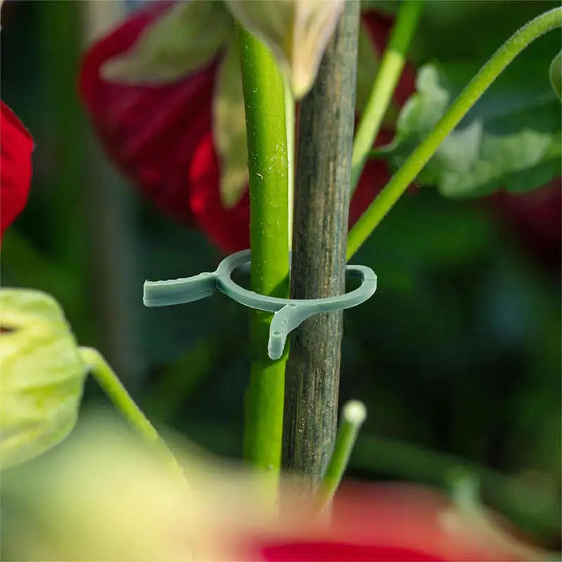 Plant Support Clips, 3 Sizes, 100 or 200 Pack