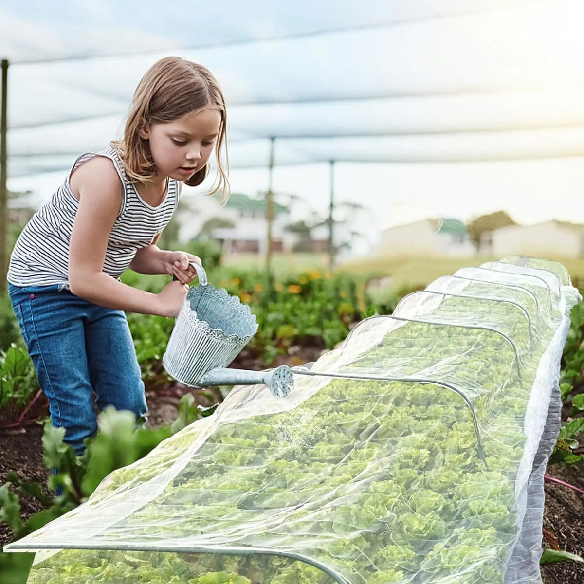 White 60-Mesh Insect Netting for Vegetables, 2.5 m Wide, 3–30 m Long